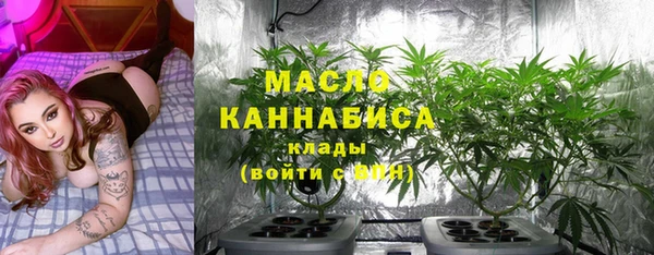 твердый Зеленодольск