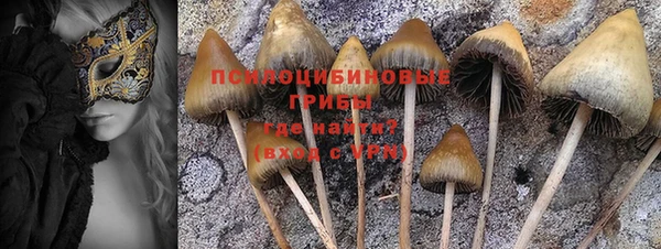 твердый Зеленодольск