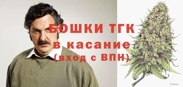 твердый Зеленодольск