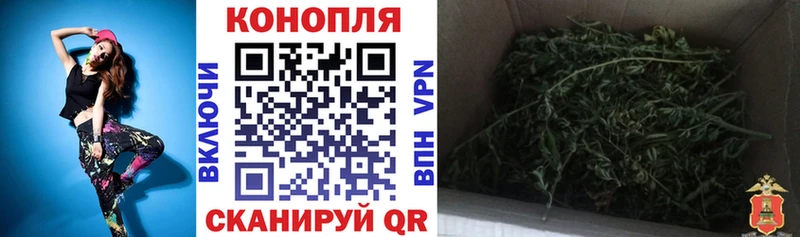 Купить где  Добрянка  Конопля White Widow 